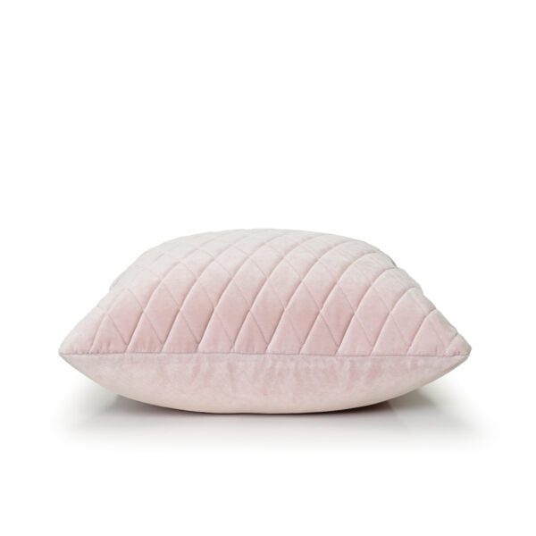 Baby Pink Velvet Cushion