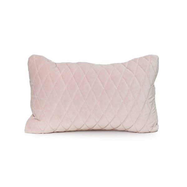 Baby Pink Velvet Cushion