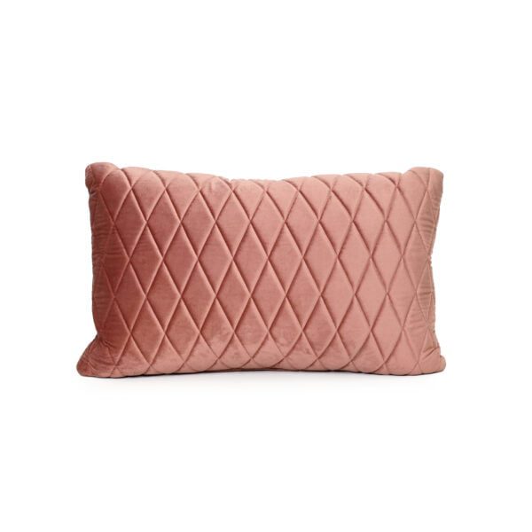 Pink Velvet Cushion