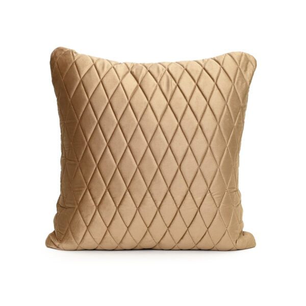 Tan Beige Velvet Cushion