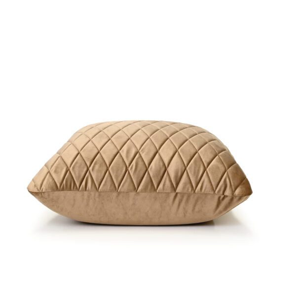 Tan Beige Velvet Cushion