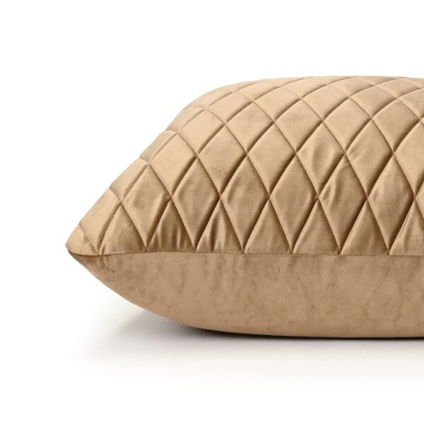 Tan Beige Velvet Cushion