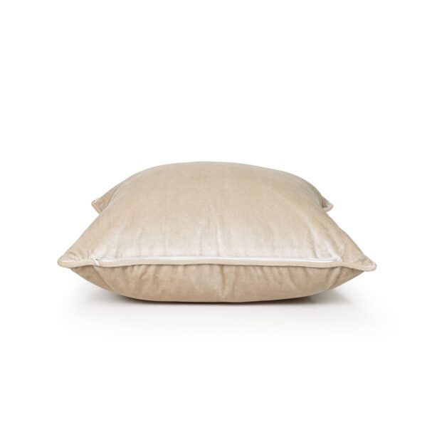 Champagne Beige Velvet Cushion