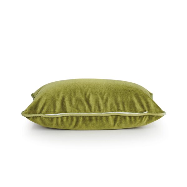 Oasis Green Velvet Cushion