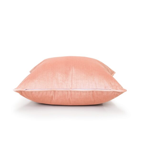 Rose Pink Velvet Cushion