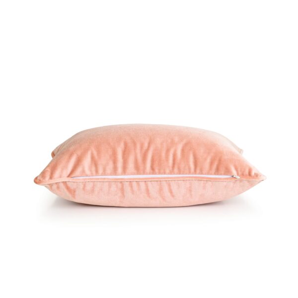 Rose Pink Velvet Cushion