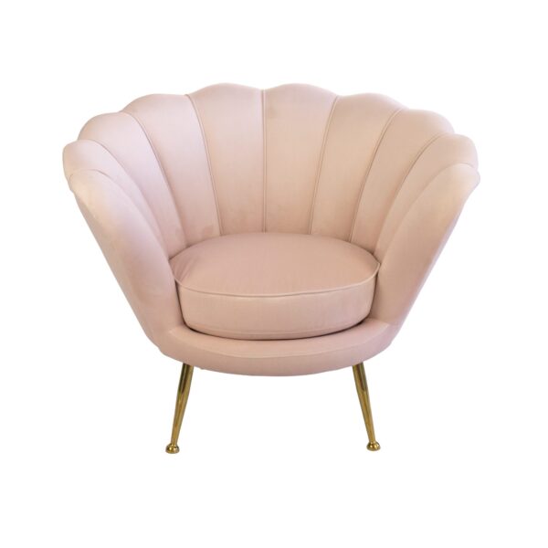 Shell Armchairs