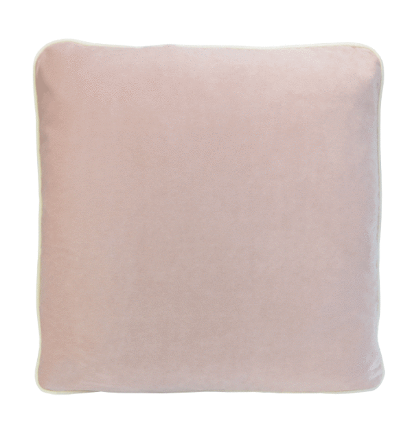 Pink Velvet Cushion