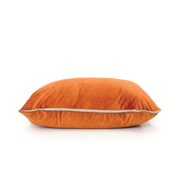 Burnt Orange Velvet Cushion