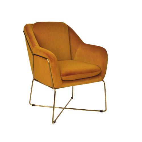 Orange Brown Armchair