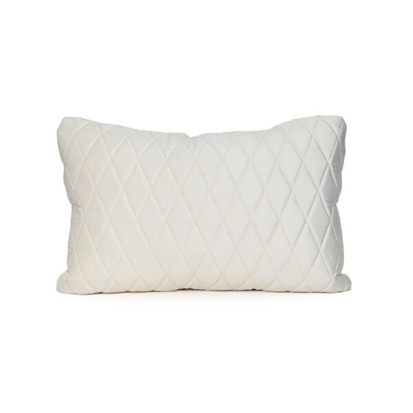 Ivory Beige Velvet Cushion